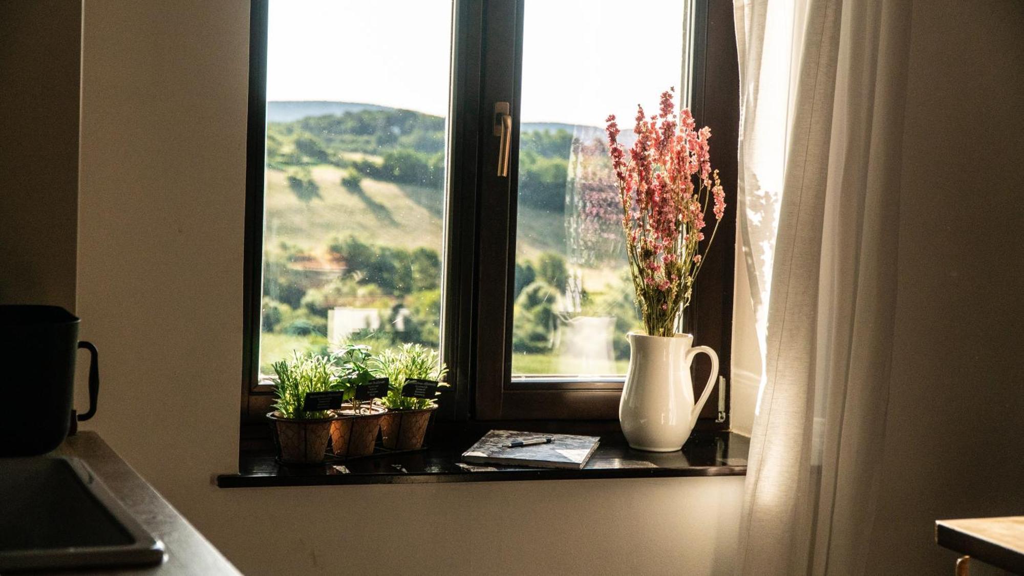 Káli Panorama Resort Mindszentkálla Kültér fotó